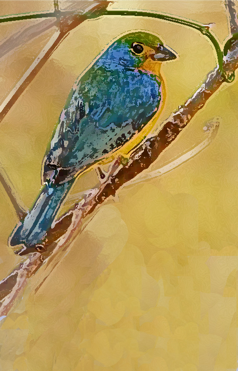 Blue Bird by Ushana
